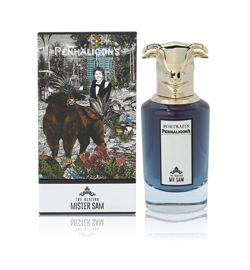  Portrait Blazing Mister Sam
