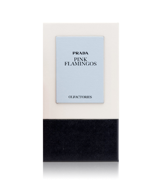  أولفاكتوريز بينك فلامينجوس