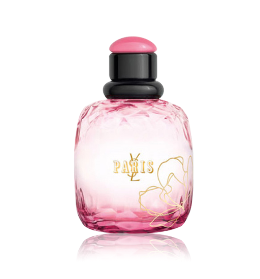  باريس برميرس روزس 2013 أ