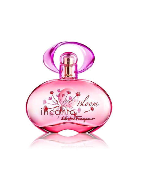 انكانتو بلوم نيو اديشن