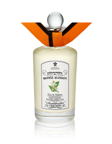  أورانج بلوسوم